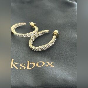 Rocksbox sparkly hoop earrings 😍